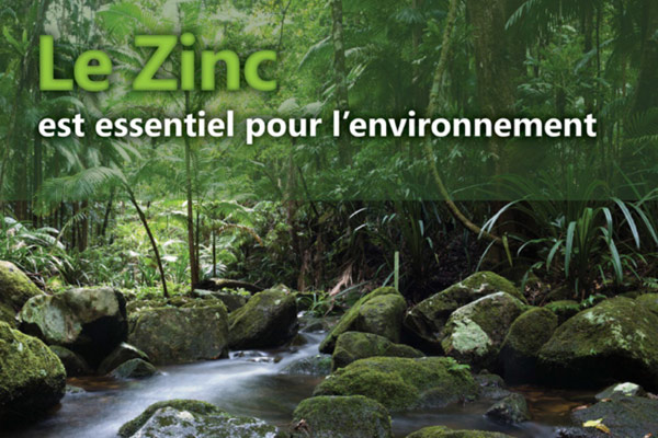 Le zinc un materiau durable